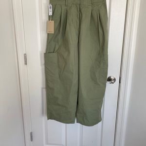 Wilfred Free (Aritzia) Aquarius Pants
